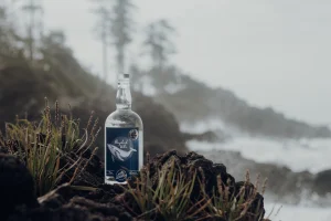 03bc06_ab4861a29f5d4ba18d7fc7a885effd78_mv2_d_5124_3416_s_4_2