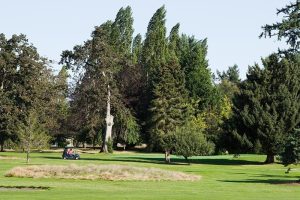 1-tee-looking-at-2_orig