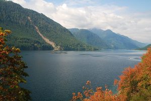 12280077655_e5e1b110b5_c