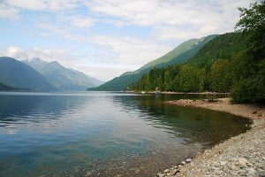 12371266883_e60e2aa966_c