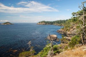 12619934173_0cda1940d1_c