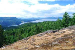 12620208033_5ff54806c3_c-647479710