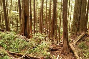 20160609-111329-largejpg