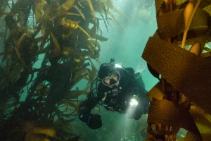 Joe-Platko_P1566427-2_92343329-aa16-4aff-ab9c-f6ace4f92b91_720x