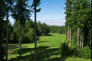 Screen Shot 2020-06-02 at 3.54.36 PM