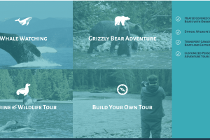 Screen Shot 2020-06-04 at 10.10.13 AM