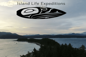 Screen Shot 2020-06-04 at 10.56.30 AM