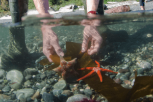 Screen Shot 2020-06-17 at 4.05.32 PM