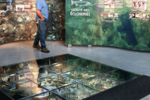 Screen Shot 2020-06-20 at 11.47.52 AM