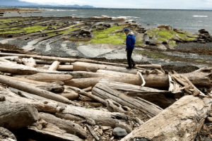 Screen Shot 2020-06-22 at 9.16.08 AM