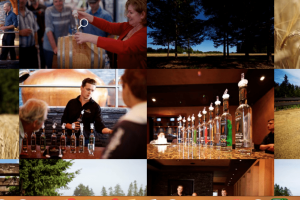 Screen Shot 2020-06-29 at 11.23.56 AM