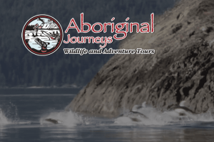 Screen Shot 2020-06-29 at 11.31.12 AM