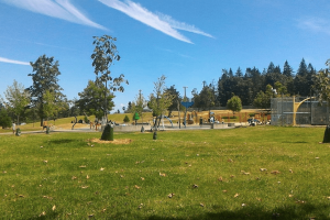 Screen Shot 2020-06-29 at 7.08.00 PM