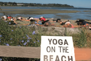 Screen Shot 2020-07-02 at 1.14.54 PM