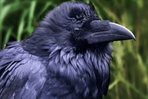 Screen Shot 2020-07-03 at 3.54.38 PM