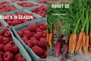 Screen Shot 2020-07-24 at 5.53.38 PM