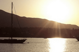 Screen Shot 2020-07-30 at 3.16.03 PM