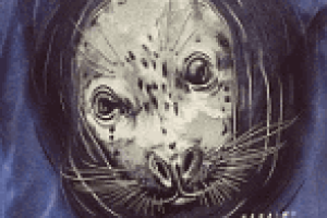 Screen Shot 2020-07-30 at 3.57.24 PM