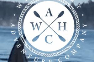 Screen Shot 2020-07-30 at 4.09.10 PM