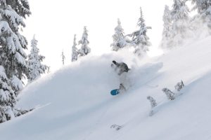 Screen Shot 2020-10-26 at 4.30.59 PM