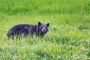 Screen Shot 2022-08-12 at 11.26.50 AM