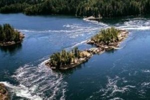 Skook-e1594315680440