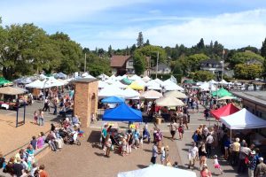 cropped-Market-Pic-1