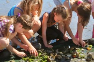 cropped-beach-seine-children-beach-CENC-1-4