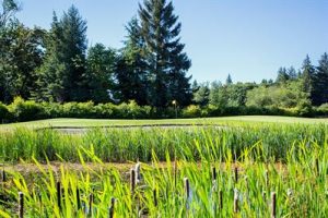 demamiel4.tmb-imggalthm1