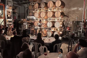 f24419_786319969f4946d4ba5bc83f2efa4c9e_mv2