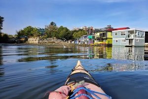 kelp-reef-adventures-524125517