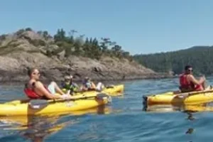 rs=w_388,h_194,cg_true,m